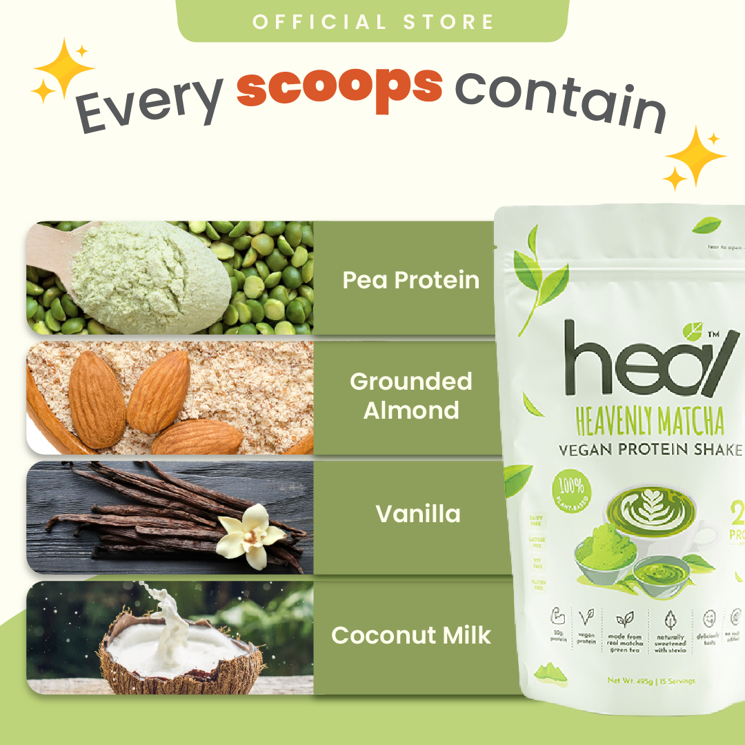 Heal Heavenly Matcha Vegan Protein Shake, 15 Servings Value Pack